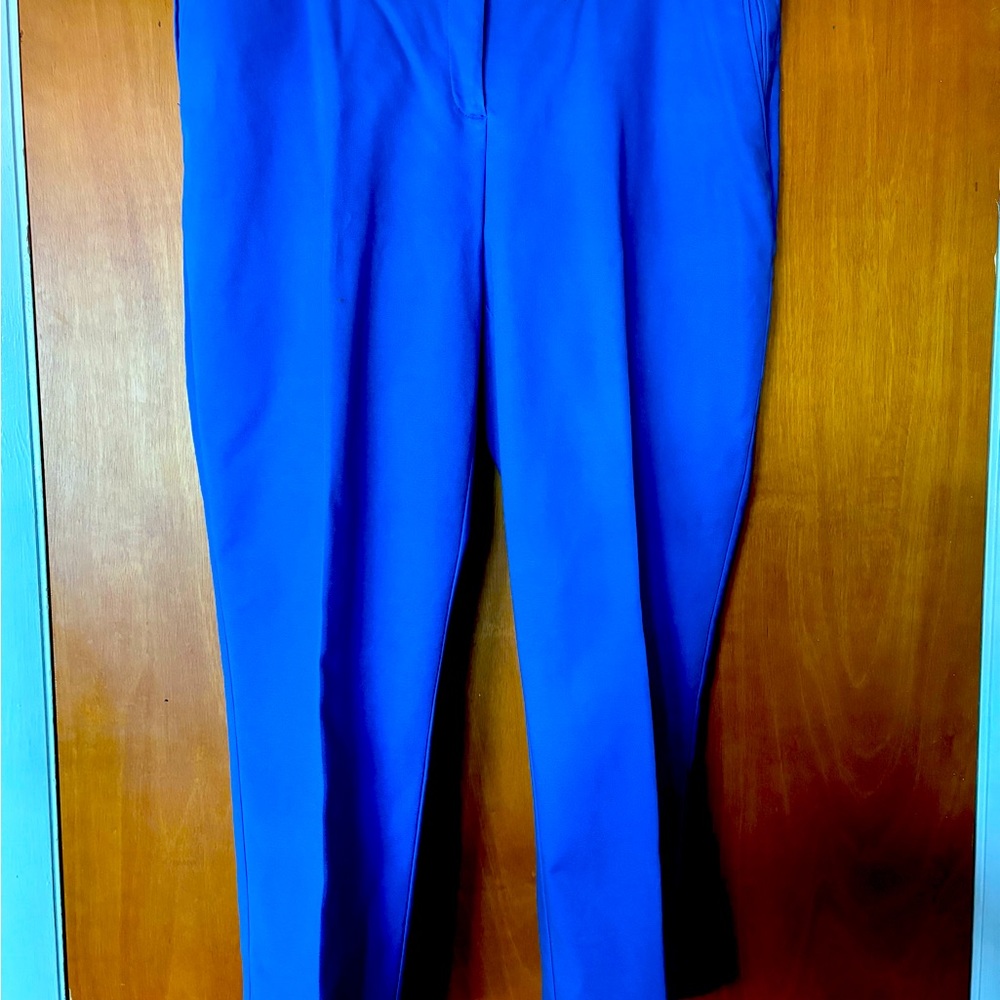 Cornflower blue pants that match the Chico’s bling blouse in my closet.